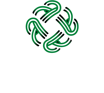 Celtic Mold Assessments Logo