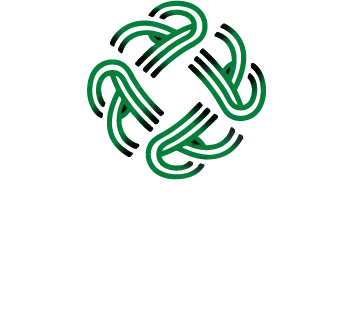 Celtic Mold Assessments Logo
