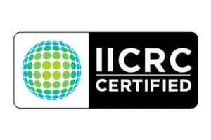 IICRC Certified Mold Remediation