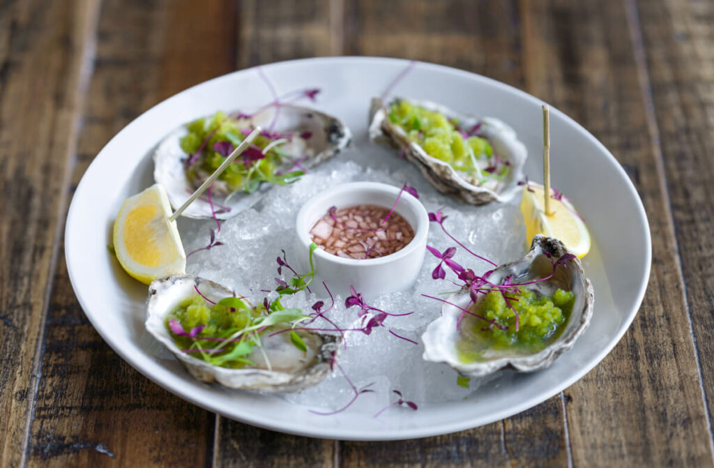 A plate of oysters