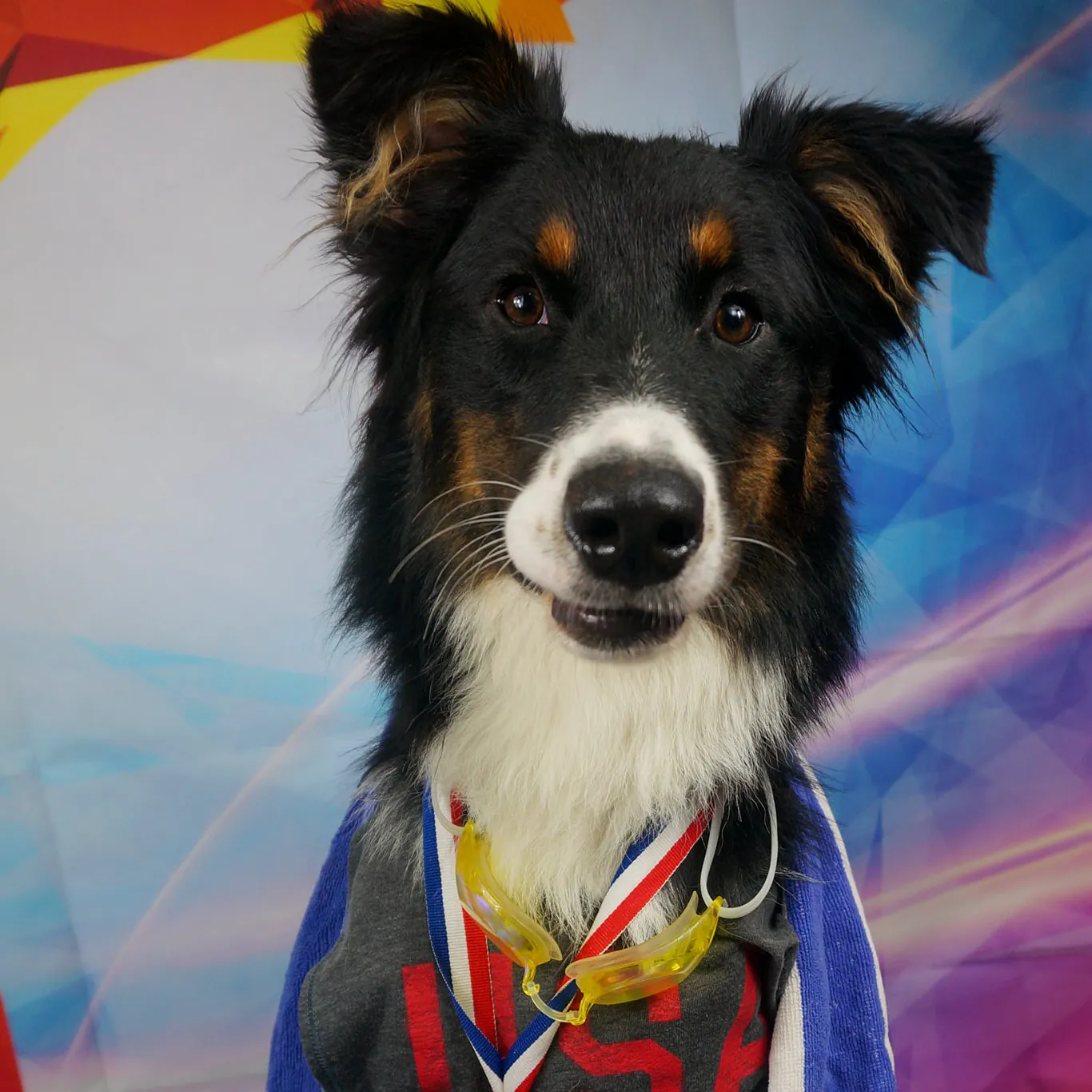 Puppy in prep school program