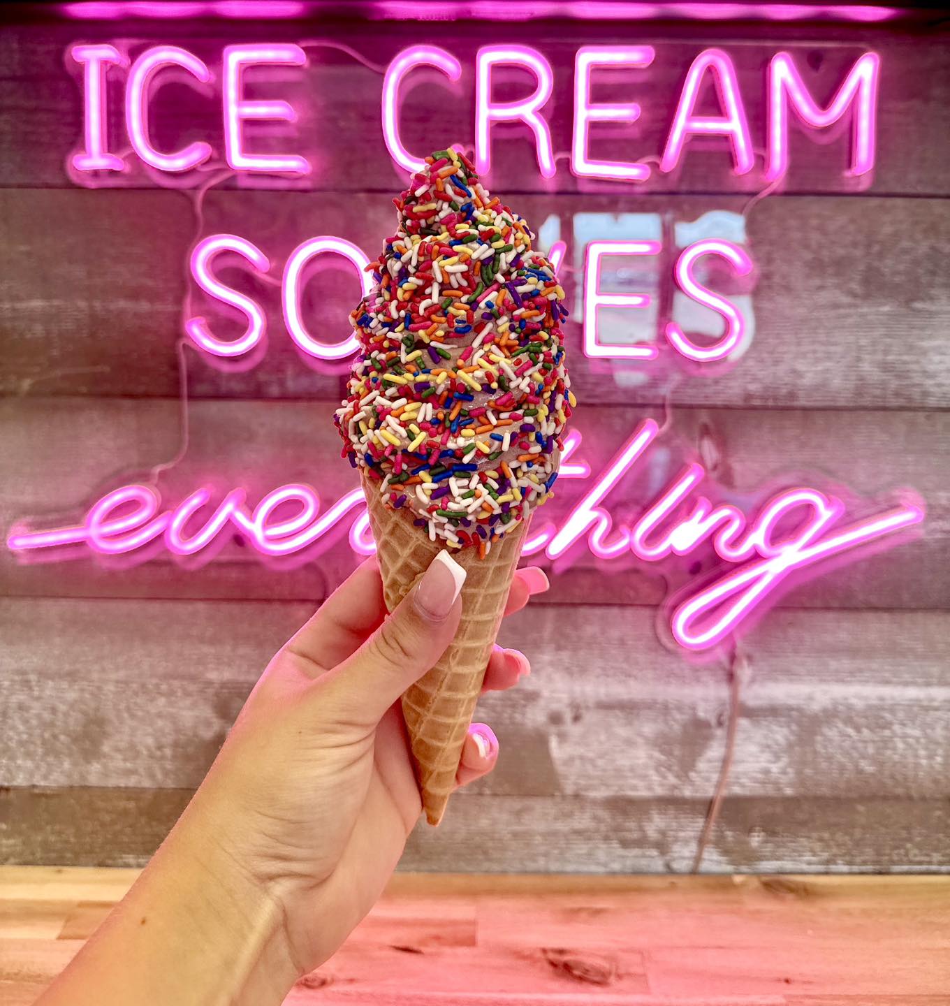 Drip Ice Cream Shop - Ice Cream Nachos