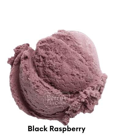 Black Raspberry Ice Cream