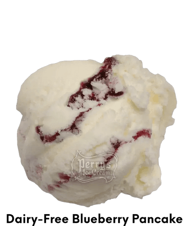 Dairy-Free Blueberry Pancake Ice Cream