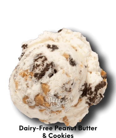 Dairy-Free Peanut Butter & Cookies Ice Cream
