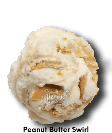 Peanut Butter Swirl Ice Cream