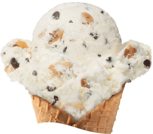 Coconut Chocolate Almond Ice Cream