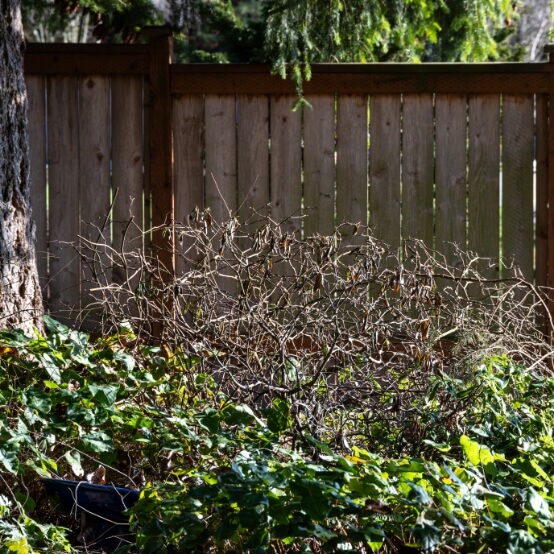 Bush Removal and Landscape Clearing
