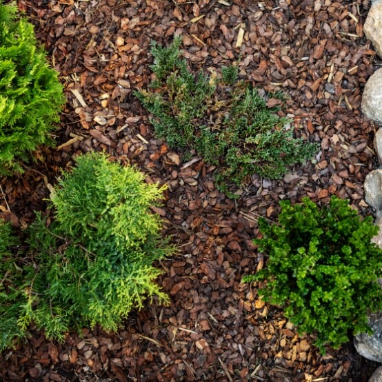 Mulch Delivery and Installation