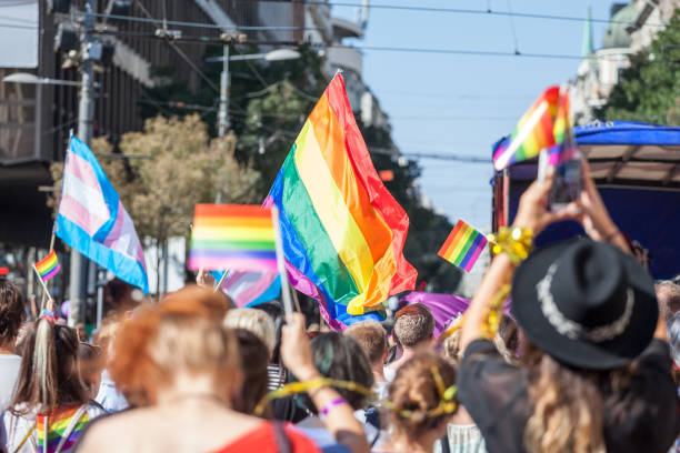 a picture of a crowd of people at a Pride Month parade