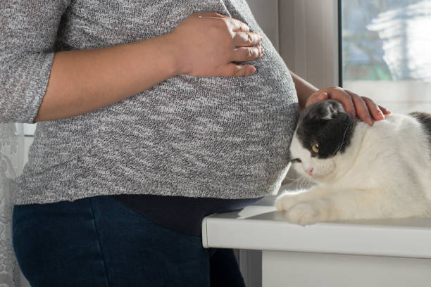 A pregnant woman with a big belly is standing next to her cat