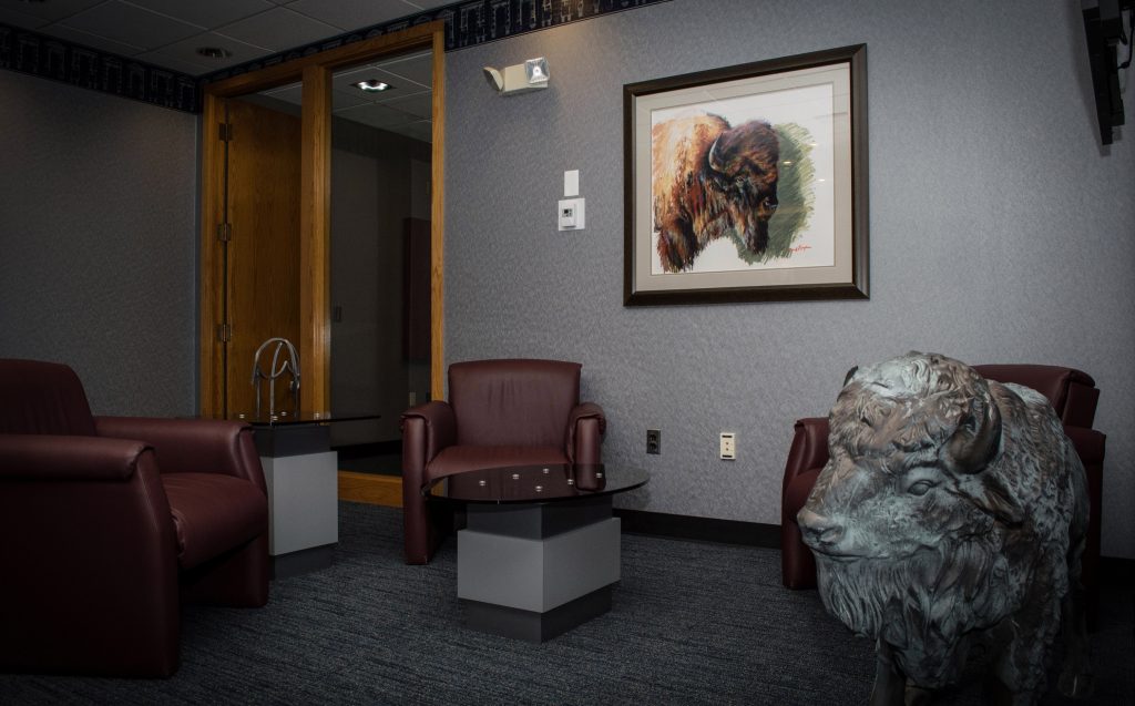buffalo themed artwork in an office