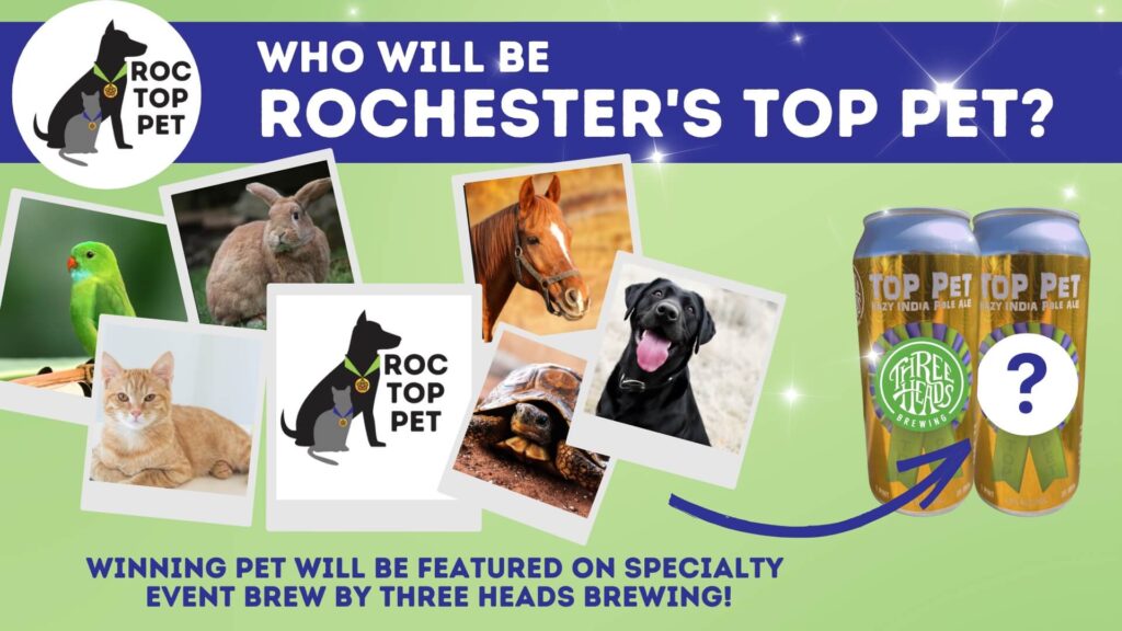 Rochester Top Pet Contest